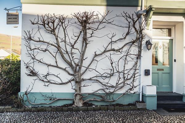 Llety Brynawel Guest House Pennal Exterior foto